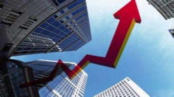 股東關注的建材銷售動態 水泥資訊查詢與水泥搜平臺的重要性