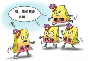 成都半包裝修必看 建材購買全攻略與銷售技巧